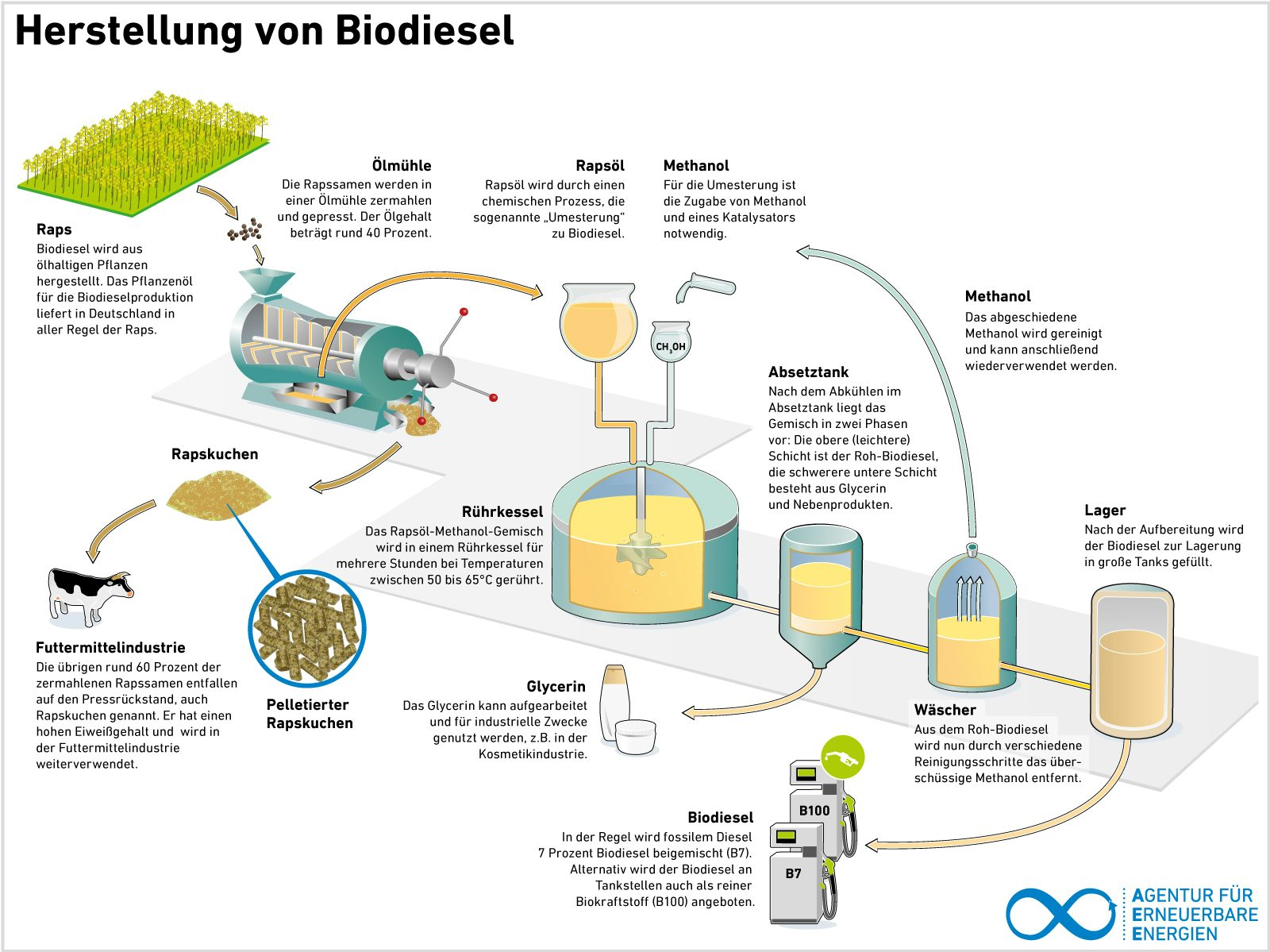 AEE_Herstellung_von_Biodiesel_Mai15